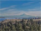 Mt Ranier edited.jpg