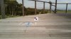 DJI_0610.jpg