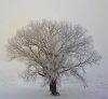DJI_0001 (4)_Moment.jpg