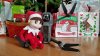 Mavic and elf on the shelf 2016.jpg