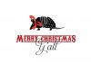 christmas-card-armadillo-WEB.jpg