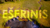 eserinis.png