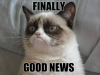 good news cat.png