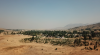 hazy day in my "hood".png