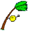 Hurricane Smiley.gif
