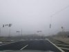 Nov 5 2017 foggy day.jpg