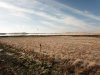 DJI_0138.JPG