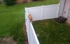 OnTheFence.jpg