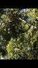 6945FC30-515D-4861-8E1E-0A2E6BFAA631.png