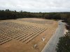 DJI_0166.JPG