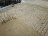 DJI_0174.JPG