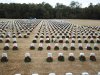 DJI_0179.JPG