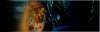 F851C2DF-0F30-4BF4-99A8-5EDF97227D29.jpeg