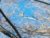 20180124_093612.jpg