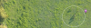 upload_2018-1-26_8-42-36.png