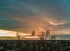 DJI_0047.jpg-4.jpeg