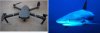Mavic shark.jpg