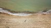 DJI_0029.jpg