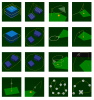 droneharmony_flight_plans.png