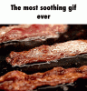 Bacon.gif