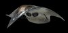 ufo.jpg