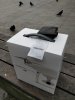 IMG_20180504_121521.jpg