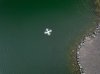DJI_0009.jpg