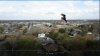 BirdofPrey.jpg