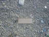 DJI_0003.JPG