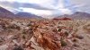 DJI_0131.JPG