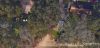 Trees 2.PNG