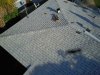 DJI_0012.JPG
