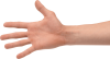 hands-png-hands-png-hand-image-png-image-2390.png