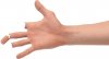 hands-png-hands-png-hand-image-png-image-2390.jpg