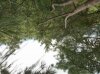 F73FC53F-3341-4606-895E-F5564175438C.jpeg