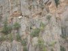 Goat on cliff (5).JPG