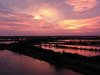 Fish farms central Thailand.JPG