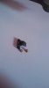 IMG-20180917-WA0016.jpg