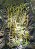 Fairbanks Fodar flight lines.jpg