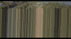 29-01-2017 9-02-01 AM.png