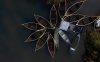 Untitled Project 2.jpg