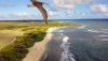 bird buzzing Mavic at Kahuku Beach 8-18-17.jpg