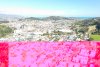 DJI_0273.JPG