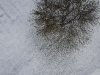 2018-11-09_First snow_0005_edit_ds.jpg