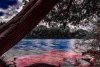 E2665C4E-77E4-4818-A661-5902882F7FE5.jpeg