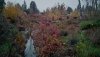 DJI_0341Fall Wetland.jpg