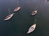 boats-1.jpg