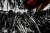 9B251AEC-14FD-4087-9DB2-3C804533A5D0.jpeg