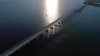 5264E2CC-1F46-47D8-84F9-642D4418C986.jpeg