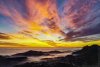 DJI_0095.jpg